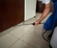 Pest Control Frankston image 4